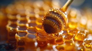 דבש דבורים טהור
